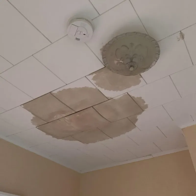 Ceiling Water Damage Repair in King and Queen Court House, VA