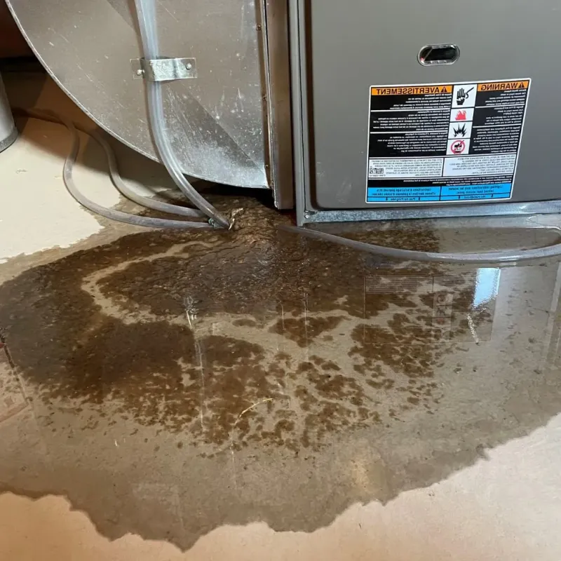 Pipe Burst and Leak Restoration in King and Queen Court House, VA